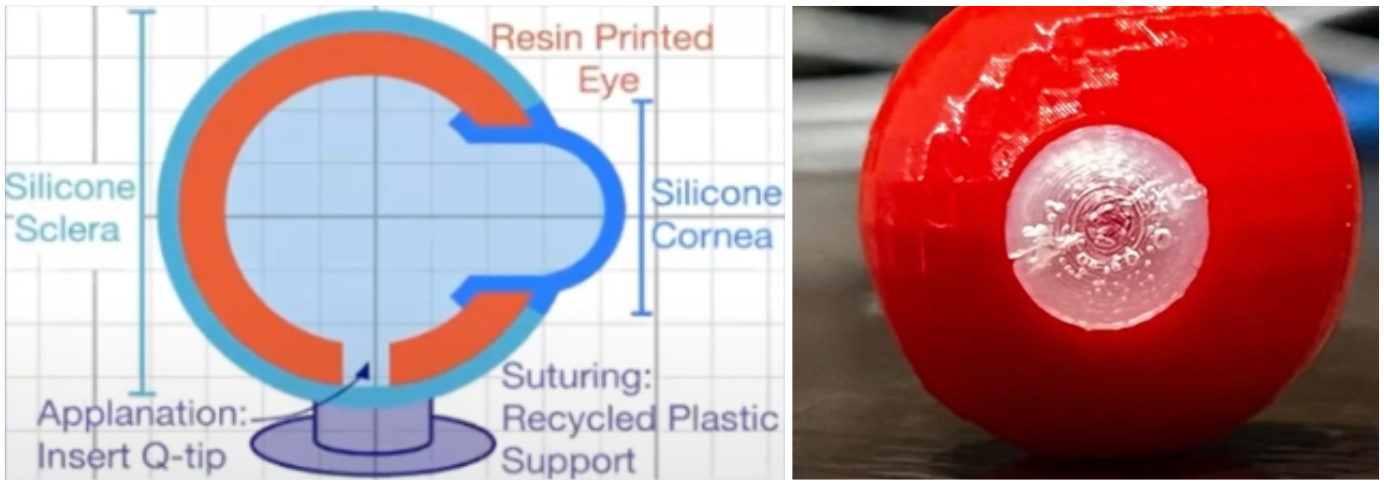 A diagram illustrating the model is on the left, and an image of the model is on the right.