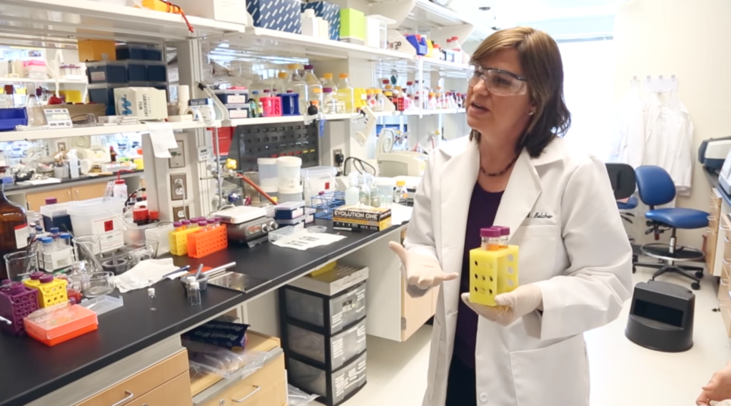 Angela Belcher in her lab