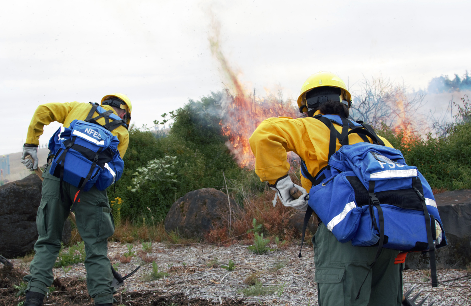 Supporting Oregon Communities Affected by Wildfires